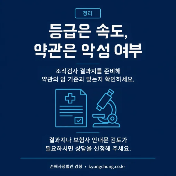 정리: 등급은 속도, 약관은 악성 여부. 조직검사 결과지를 준비해 약관의 암 기준과 맞는지 확인하기