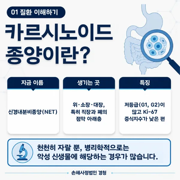 카르시노이드 종양 설명: 지금 이름은 신경내분비종양(NET), 위·소장·대장과 직장·폐의 점막 아래층에서 생기며 저등급이 많고 Ki-67 증식지수가 낮은 편