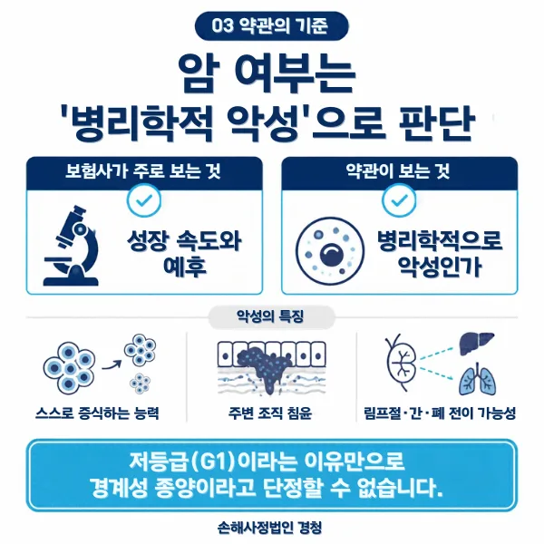 약관의 암 판단 기준: 보험사가 보는 성장 속도와 예후, 약관이 보는 병리학적 악성 여부와 증식·침윤·전이