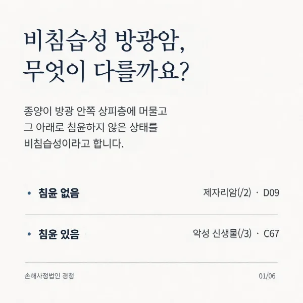 비침습성 방광암은 무엇이 다를까: 종양이 방광 안쪽 상피층에 머물고 침윤하지 않은 상태, 침윤이 없으면 제자리암(/2)·D09, 침윤이 있으면 악성 신생물(/3)·C67