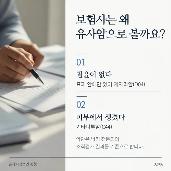 보험사가 유사암으로 보는 두 가지 이유: 암세포가 표피 안에만 있고 기저막 아래로 침윤하지 않았으니 제자리암(D04), 피부에서 생겼으니 기타피부암(C44)