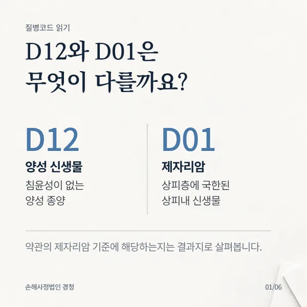 D12와 D01은 무엇이 다를까: D12 양성 신생물은 침윤성이 없는 양성 종양, D01 제자리암은 상피층에 국한된 상피내 신생물. 약관의 제자리암 기준에 해당하는지는 결과지로 살펴봄