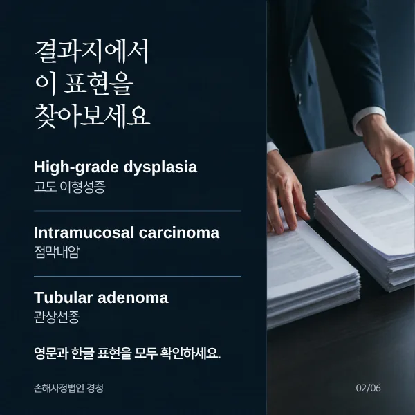 결과지에서 찾아볼 표현: High-grade dysplasia(고도 이형성증), Intramucosal carcinoma(점막내암), Tubular adenoma(관상선종). 영문과 한글 표현을 모두 확인