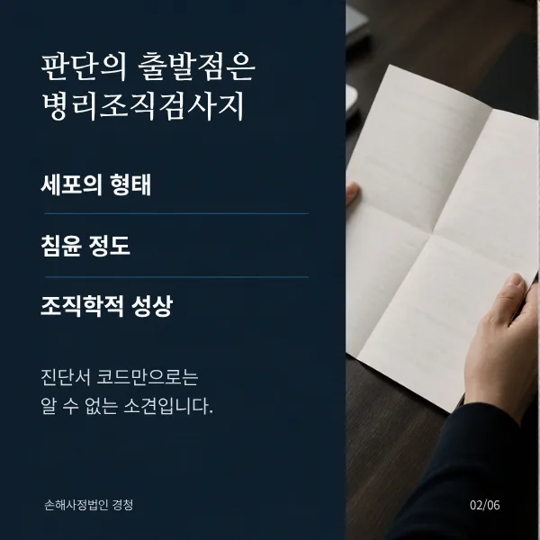 판단의 출발점은 병리조직검사지. 세포의 형태, 침윤 정도, 조직학적 성상. 진단서 코드만으로는 알 수 없는 소견입니다.