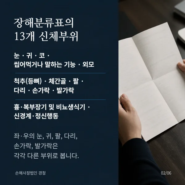 장해분류표의 13개 신체부위. 눈·귀·코·씹어먹거나 말하는 기능·외모, 척추(등뼈)·체간골·팔·다리·손가락·발가락, 흉·복부장기 및 비뇨생식기·신경계·정신행동. 좌·우의 눈, 귀, 팔, 다리, 손가락, 발가락은 각각 다른 부위로 봅니다.