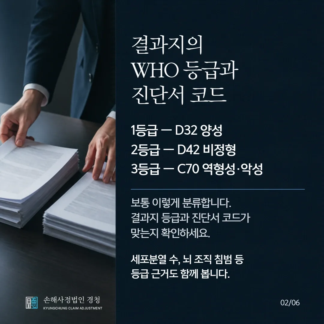 결과지의 WHO 등급과 진단서 코드. 보통 1등급은 D32 양성, 2등급은 D42 비정형, 3등급은 C70 역형성·악성으로 분류합니다. 결과지 등급과 진단서 코드가 맞는지 확인하고, 세포분열 수와 뇌 조직 침범 등 등급 근거도 함께 봅니다.