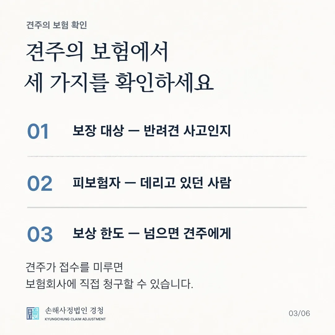 견주의 보험에서 세 가지를 확인하세요. 01 보장 대상: 반려견 사고인지, 02 피보험자: 데리고 있던 사람, 03 보상 한도: 넘으면 견주에게. 견주가 접수를 미루면 보험회사에 직접 청구할 수 있습니다.
