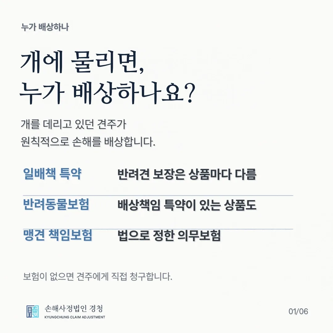 개에 물리면, 누가 배상하나요? 개를 데리고 있던 견주가 원칙적으로 손해를 배상합니다. 일배책 특약은 반려견 보장이 상품마다 다르고, 반려동물보험은 배상책임 특약이 있는 상품도 있으며, 맹견 책임보험은 법으로 정한 의무보험입니다. 보험이 없으면 견주에게 직접 청구합니다.