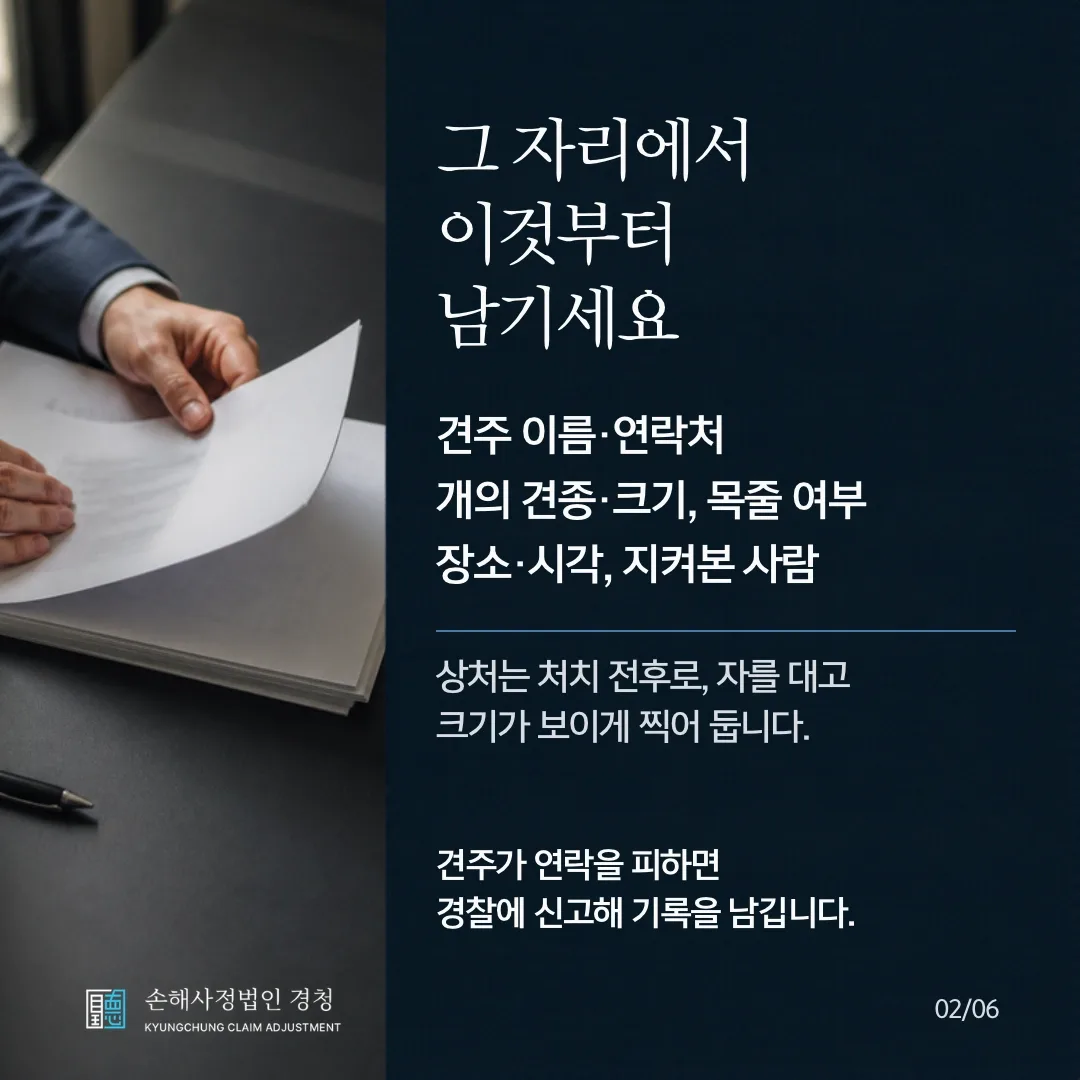 그 자리에서 이것부터 남기세요. 견주 이름·연락처, 개의 견종·크기와 목줄 여부, 장소·시각과 지켜본 사람. 상처는 처치 전후로 자를 대고 크기가 보이게 찍어 둡니다. 견주가 연락을 피하면 경찰에 신고해 기록을 남깁니다.